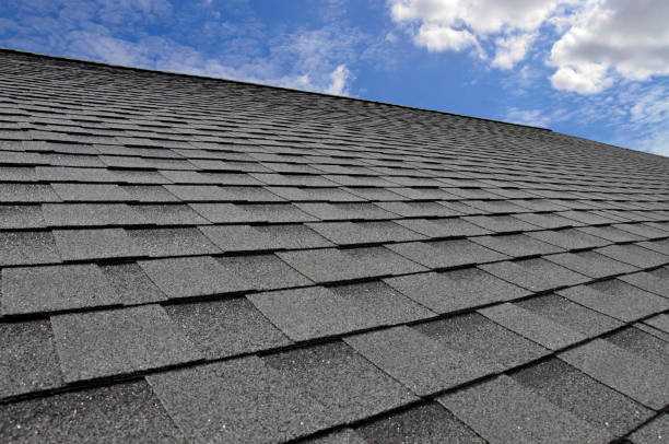 Best Gutter Installation and Repair  in Lliams Bay, WI